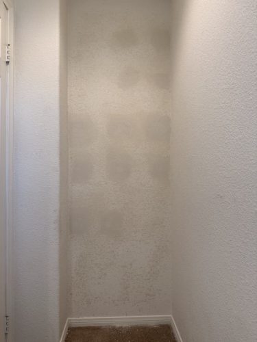 Drywall Contractor San Diego Ca 9.1.26 44